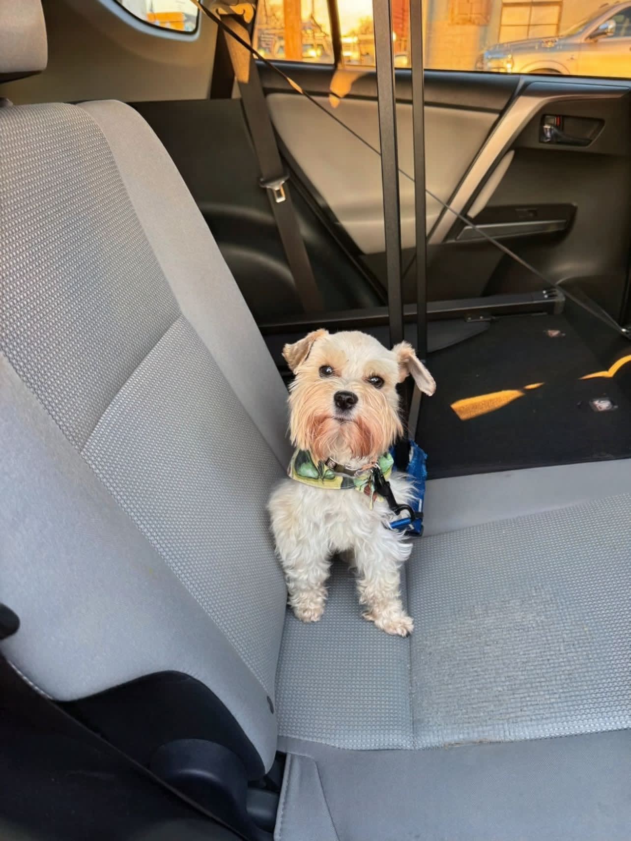Benny